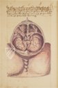 Caspar Stromayr - Practica Copiosa – Idion Verlag – Stadtbibliothek Lindau (Lindau, Germany)