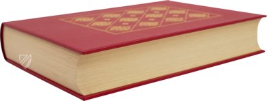 Caspar Stromayr - Practica Copiosa – Idion Verlag – Stadtbibliothek Lindau (Lindau, Germany)