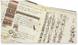 Champollion's Notebook – BiblioGemma – NAF 20374 – Bibliothèque nationale de France (Paris, France)