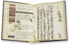 Champollion's Notebook – BiblioGemma – NAF 20374 – Bibliothèque nationale de France (Paris, France)