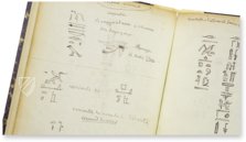 Champollion's Notebook – BiblioGemma – NAF 20374 – Bibliothèque nationale de France (Paris, France)