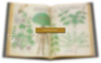 Chirurgia – Editions Medicina Rara – Codex Sloane 1977 – British Library (London, United Kingdom) Chirurgia – Editions Medicina Rara – Codex Sloane 1977 – British Library (London, United Kingdom)