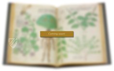 Chirurgia – Editions Medicina Rara – Codex Sloane 1977 – British Library (London, United Kingdom) Chirurgia – Editions Medicina Rara – Codex Sloane 1977 – British Library (London, United Kingdom)