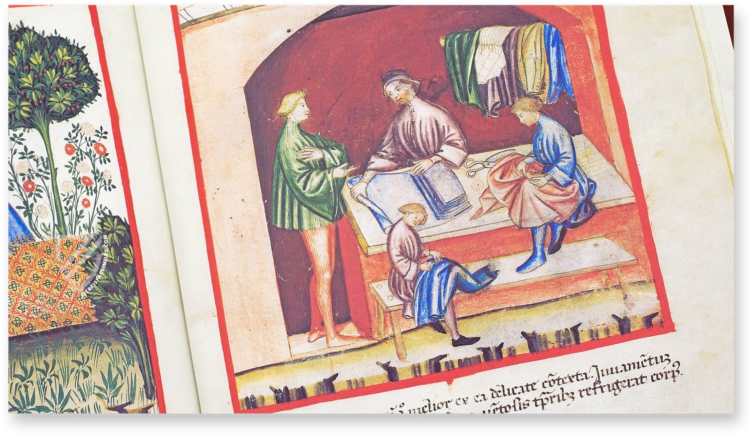 Clothing made of silk (vestis de seta) in the Theatrum Sanitatis Clothing made of silk (vestis de seta) in the Theatrum Sanitatis
