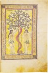 Codex Albeldense – Testimonio Compañía Editorial – D.I.2 – Real Biblioteca del Monasterio (San Lorenzo de El Escorial, Spain)
