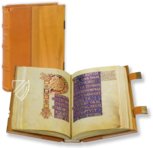 Codex Benedictus – Belser Verlag – Vat. lat. 1202 – Biblioteca Apostolica Vaticana (Vatican City, State of the Vatican City)