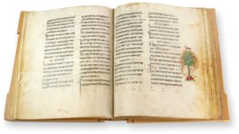 Codex Etchmiadzin – Akademische Druck- u. Verlagsanstalt (ADEVA) – Cod. 2374 – Mesrop Mashtots Institute of Ancient Manuscripts (Yerevan, Armenia)