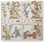 Codex Fejérváry-Mayer – Akademische Druck- u. Verlagsanstalt (ADEVA) – 12014 M – World Museum Liverpool (Liverpool, United Kingdom)