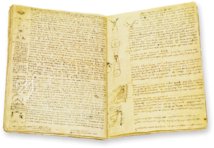 Codex Hammer – Collezione Apocrifa Da Vinci – Bill Gates Collection (Seattle, USA)