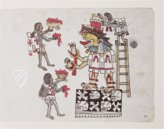Codex Magliabechiano – Biblioteca Nazionale Centrale di Firenze (Florence, Italy) Facsimile Edition