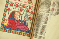 Codex Manesse – Insel Verlag – Cod. Pal. germ. 848 – Universitätsbibliothek Heidelberg (Heidelberg, Germany)