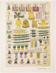 Codex Mendoza – University of California Press – MS. Arch. Selden. A. 1 – Bodleian Library (Oxford, United Kingdom)