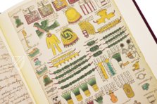Codex Mendoza – University of California Press – MS. Arch. Selden. A. 1 – Bodleian Library (Oxford, United Kingdom)