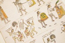 Codex Mendoza – University of California Press – MS. Arch. Selden. A. 1 – Bodleian Library (Oxford, United Kingdom)
