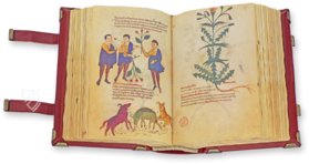 Codex of Medicine of Frederick II – Ms. Plut. 73.16 – Biblioteca Medicea Laurenziana (Florence, Italy) Facsimile Edition