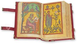 Codex of Medicine of Frederick II – Ms. Plut. 73.16 – Biblioteca Medicea Laurenziana (Florence, Italy) Facsimile Edition