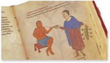 Codex of Medicine of Frederick II – Patrimonio Ediciones – Ms. Plut. 73.16 – Biblioteca Medicea Laurenziana (Florence, Italy)