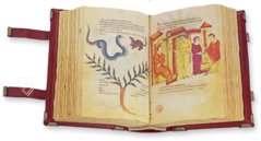 Codex of Medicine of Frederick II – Patrimonio Ediciones – Ms. Plut. 73.16 – Biblioteca Medicea Laurenziana (Florence, Italy)