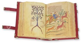 Codex of Medicine of Frederick II – Patrimonio Ediciones – Ms. Plut. 73.16 – Biblioteca Medicea Laurenziana (Florence, Italy)