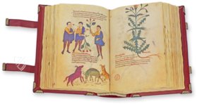 Codex of Medicine of Frederick II – Patrimonio Ediciones – Ms. Plut. 73.16 – Biblioteca Medicea Laurenziana (Florence, Italy)