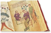 Codex of Medicine of Frederick II – Patrimonio Ediciones – Ms. Plut. 73.16 – Biblioteca Medicea Laurenziana (Florence, Italy)