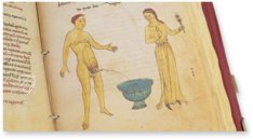 Codex of Medicine of Frederick II – Patrimonio Ediciones – Ms. Plut. 73.16 – Biblioteca Medicea Laurenziana (Florence, Italy)