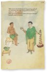 Codex of Medicine of Frederick II – Patrimonio Ediciones – Ms. Plut. 73.16 – Biblioteca Medicea Laurenziana (Florence, Italy)