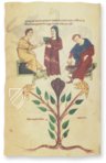 Codex of Medicine of Frederick II – Patrimonio Ediciones – Ms. Plut. 73.16 – Biblioteca Medicea Laurenziana (Florence, Italy)