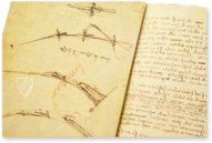 Codex on the Flight of Birds  – Biblioteca Reale di Torino (Turin, Italy) Facsimile Edition