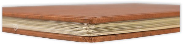 Codex Schürstab – Faksimile Verlag – Ms. C 54 – Zentralbibliothek Zürich (Zurich, Switzerland)