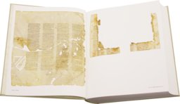 Codex Sinaiticus –  Hendrickson Publishers – Add MS 43725 / Cod. gr. I / MS gr. 2, Ms. Gr. 259, MS gr. 843, MS OLDP O 156  – British Library (London, United Kingdom) / Leipzig University Library (Leipzig, Germany) / National Library of Russia (St. P