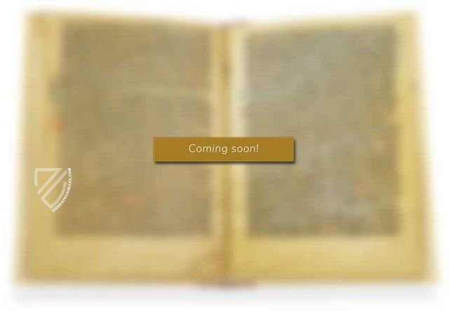 Codex Turin J.II.9 - Ziereis Facsimiles