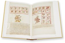 Codex Vaticanus A (3738) – Akademische Druck- u. Verlagsanstalt (ADEVA) – Codex Vatic. Lat. 3738 – Biblioteca Apostolica Vaticana (Vatican City, Vatican City State)