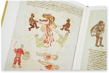 Codex Vaticanus A (3738) – Akademische Druck- u. Verlagsanstalt (ADEVA) – Codex Vatic. Lat. 3738 – Biblioteca Apostolica Vaticana (Vatican City, Vatican City State)