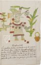 Codex Veitia – Biblioteca del Palacio Real (Madrid, Spain) Facsimile Edition