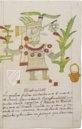 Codex Veitia – Testimonio Compañía Editorial – Biblioteca del Palacio Real (Madrid, Spain)