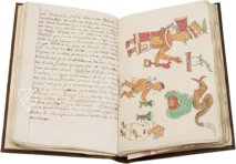 Codex Veitia – Testimonio Compañía Editorial – Biblioteca del Palacio Real (Madrid, Spain)