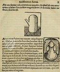 Coelum philosophorum seu de Secretis Naturae – Circulo Cientifico – Biblioteca Nacional de España (Madrid, Spain)