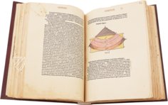 Columbus's Imago Mundi – Testimonio Compañía Editorial – 10.3.4. – Biblioteca Capitular y Colombina (Seville, Spain)