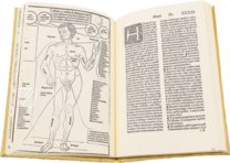 Compendio de la Salud Humana – Vicent Garcia Editores – I/51 – Biblioteca Nacional de España (Madrid, Spain)