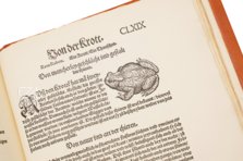 Conrad Gessner: Thierbuch – Josef Stocker-Schmid – NS 4,2 – Zentralbibliothek Zürich (Zürich, Switzerland)