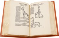 Conrad Gessner: Thierbuch – Josef Stocker-Schmid – NS 4,2 – Zentralbibliothek Zürich (Zürich, Switzerland)