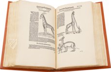 Conrad Gessner: Thierbuch – Josef Stocker-Schmid – NS 4,2 – Zentralbibliothek Zürich (Zürich, Switzerland)