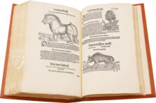 Conrad Gessner: Thierbuch – Josef Stocker-Schmid – NS 4,2 – Zentralbibliothek Zürich (Zürich, Switzerland)