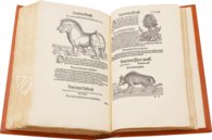 Conrad Gessner: Thierbuch – Josef Stocker-Schmid – NS 4,2 – Zentralbibliothek Zürich (Zürich, Switzerland)