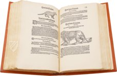 Conrad Gessner: Thierbuch – Josef Stocker-Schmid – NS 4,2 – Zentralbibliothek Zürich (Zürich, Switzerland)