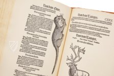 Conrad Gessner: Thierbuch – Josef Stocker-Schmid – NS 4,2 – Zentralbibliothek Zürich (Zürich, Switzerland)