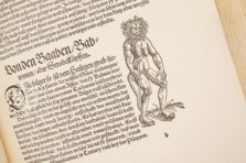 Conrad Gessner: Thierbuch – Josef Stocker-Schmid – NS 4,2 – Zentralbibliothek Zürich (Zürich, Switzerland)