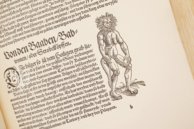 Conrad Gessner: Thierbuch – Josef Stocker-Schmid – NS 4,2 – Zentralbibliothek Zürich (Zürich, Switzerland)