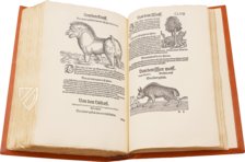 Conrad Gessner: Thierbuch – Josef Stocker-Schmid – NS 4,2 – Zentralbibliothek Zürich (Zurich, Switzerland)